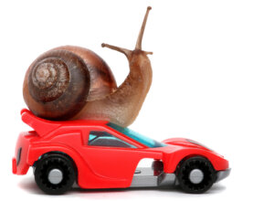 caracol num carro